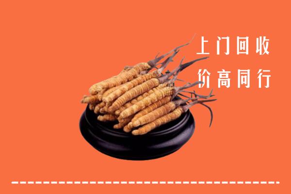 高价求购：洪山区回收散虫草