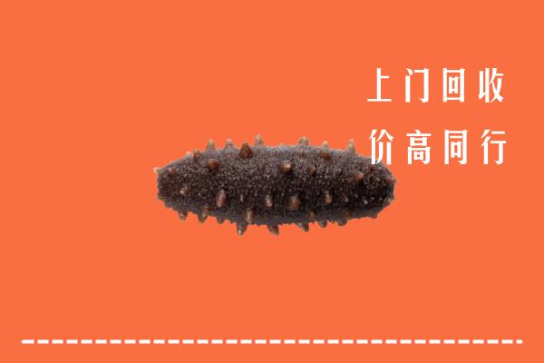 洪山区回收海参