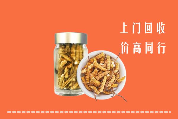 洪山区回收冬虫夏草